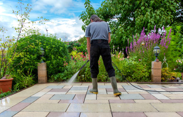 Best Sidewalk and Walkway Cleaning  in Clinton, MO