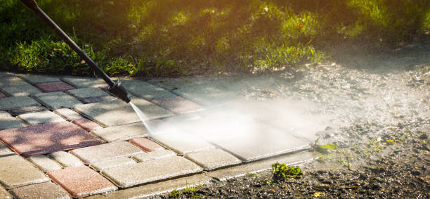 Solar Panel Cleaning in Clinton, MO